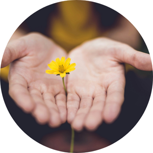 La bio&eacute;nergie, pour qui, pour quoi ?